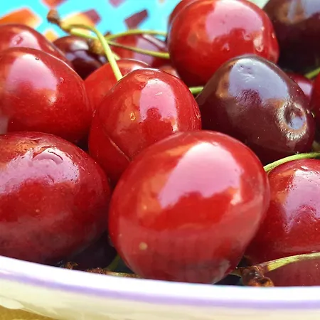 Bed & Breakfast La Finestra Sulla Valle 4*